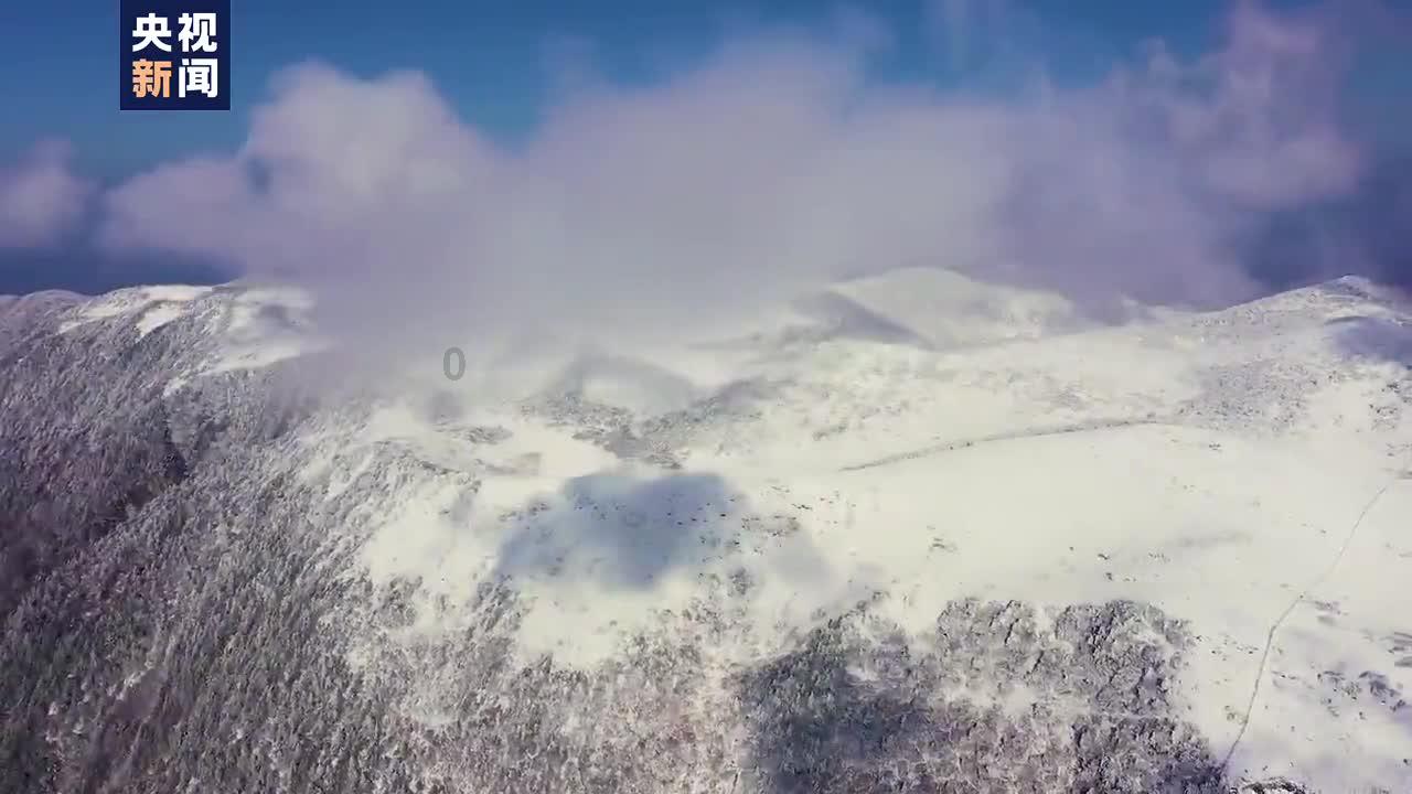 救援飞行员