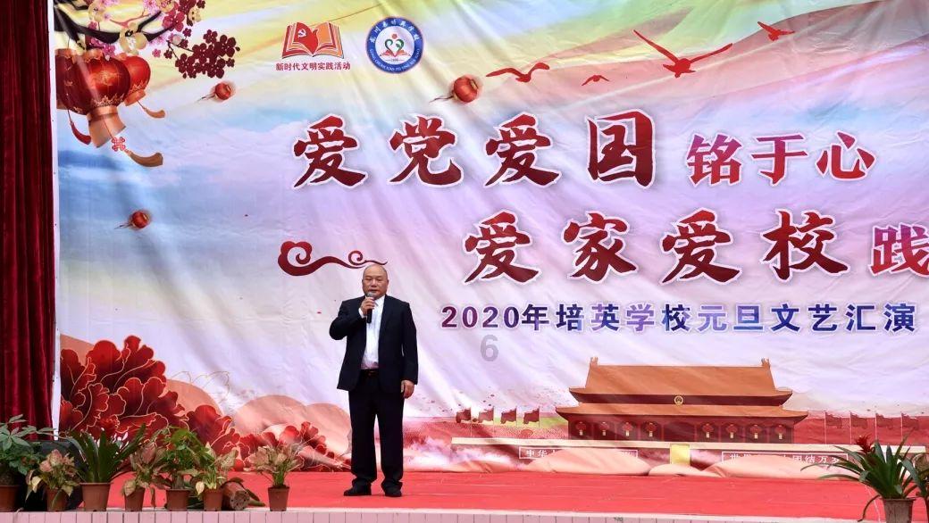 可爱小猫向上跳