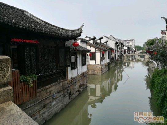 悍匪被捕入狱,杀人放火无恶不作,妻女散尽家产救他认为他是好人